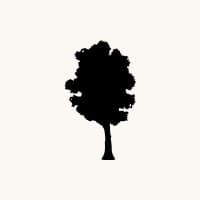 Fota Island Resort logo