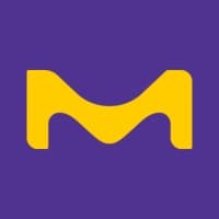Merck Electronics logo